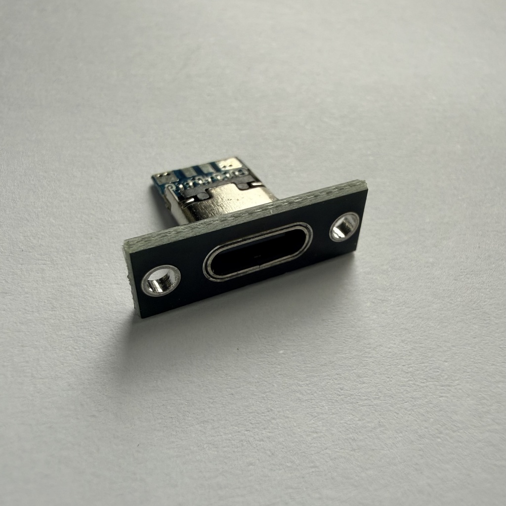 USB 3.1 Type C Socket with Screw Fixing Plate Type-C USB Jack 3.1 Type-C 2Pin 4Pin Female Connector Jack Charging Port